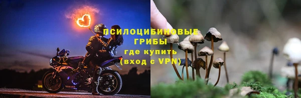 стафф Богородск