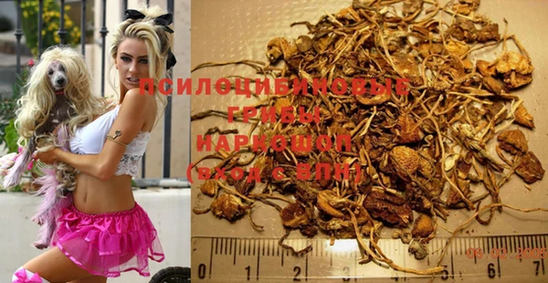 бутик Богданович