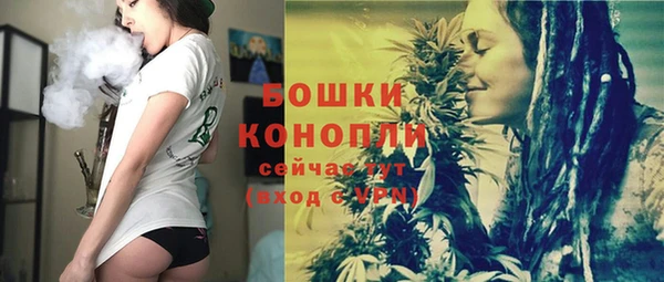 стафф Богородск