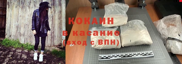 стафф Богородск