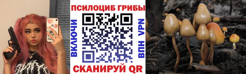 Псилоцибиновые грибы Psilocybine cubensis хочу Сургут